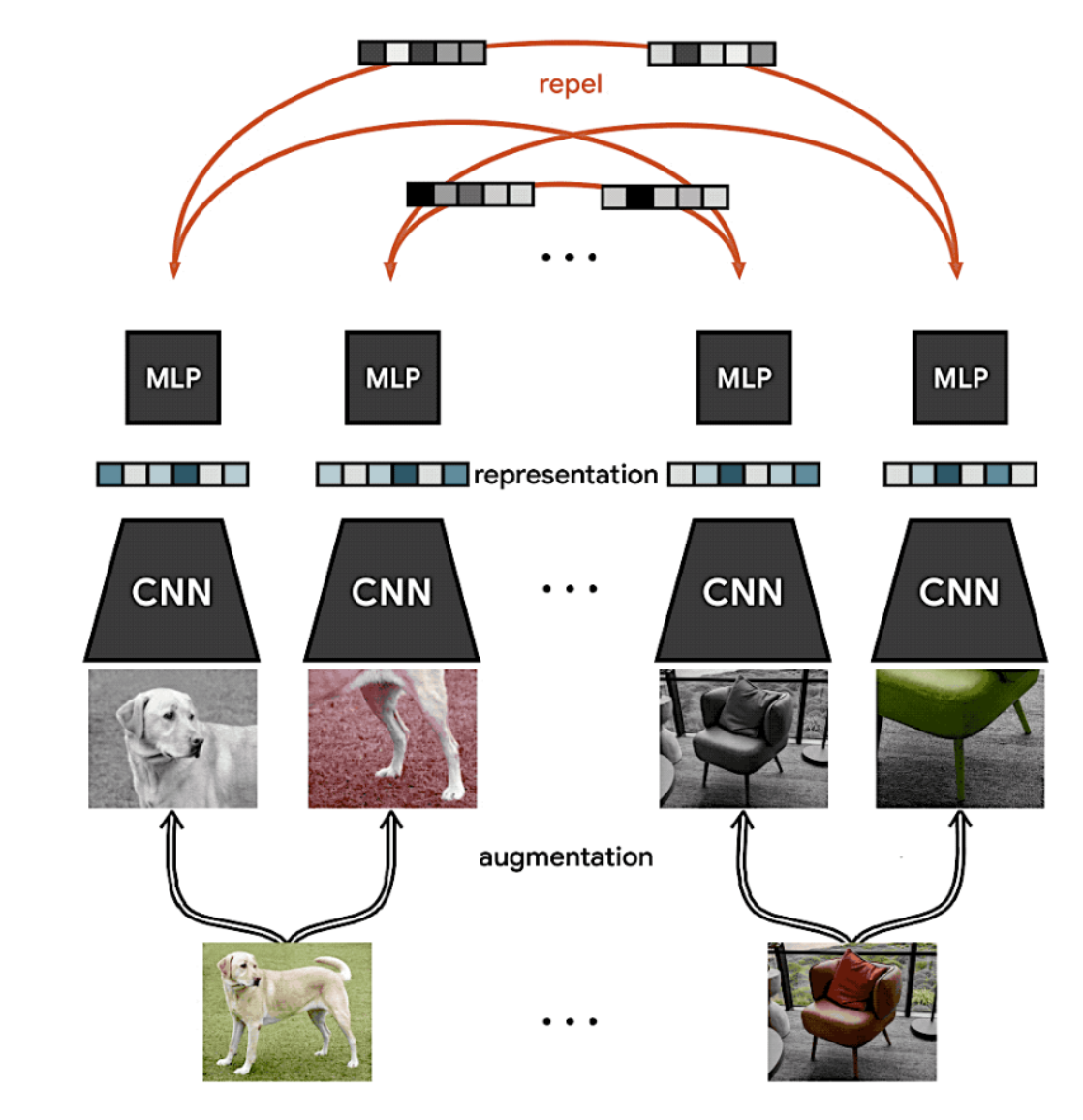 ML Reading Group Series: Self-Supervised Contrastive Learning in Computer Vision